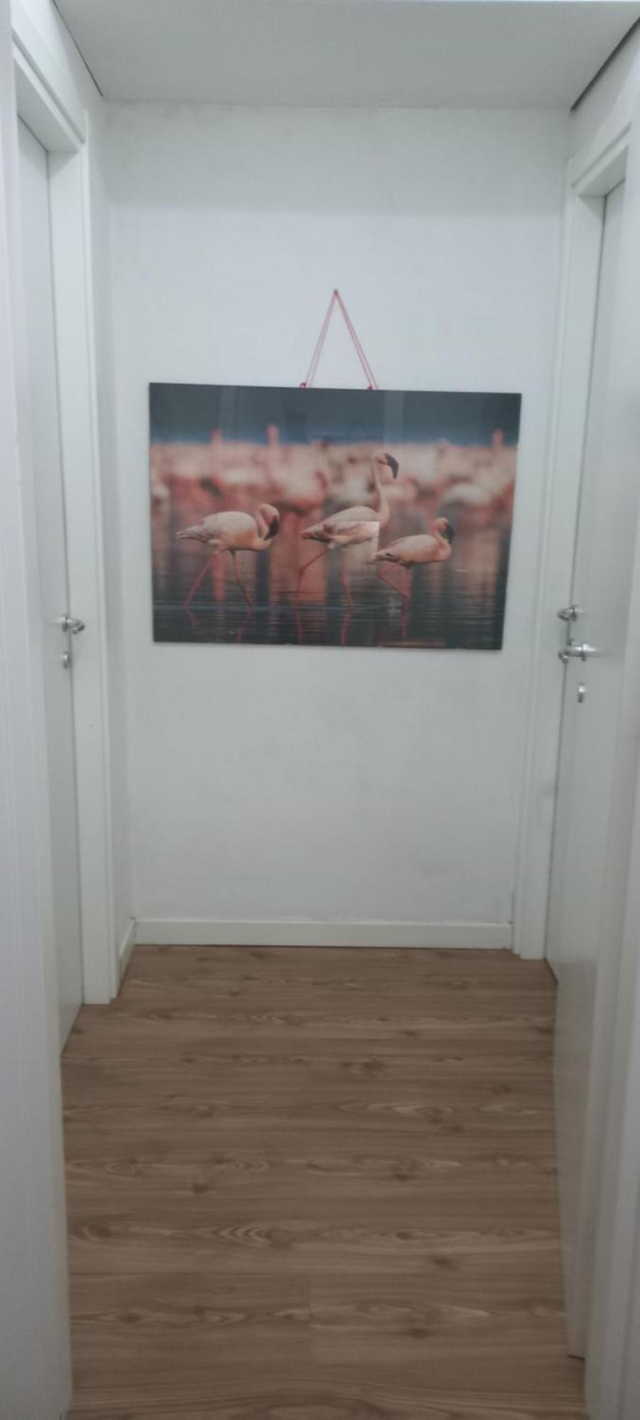 B&B Leo Κάλιαρι Εξωτερικό φωτογραφία